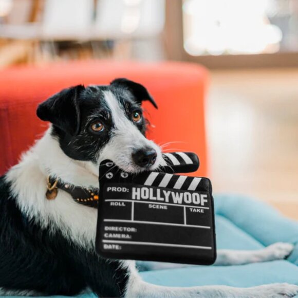 NWT ~ Doggy Director Board Dog Toy  6" (L)  x  0.7" (W)  x  7" (H) - Picture 3 of 6